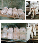 www.bohrpub.com