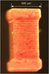 www.bohrpub.com